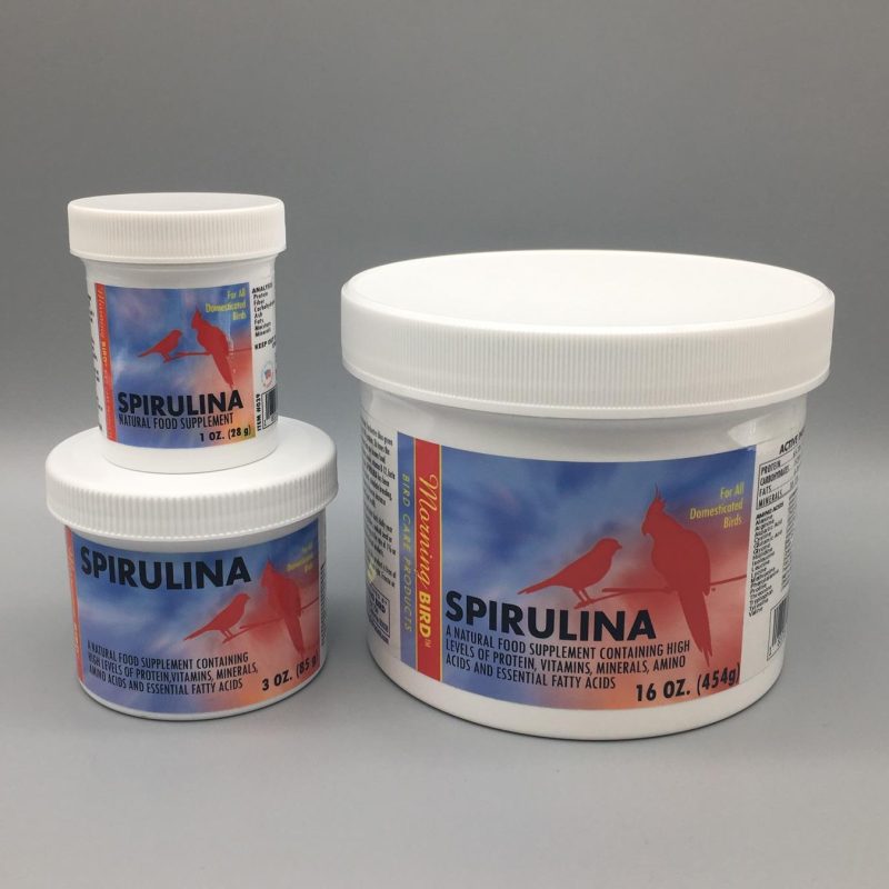 Morning Bird SPIRULINA - Great for fertility, stimulates breeding, produce brighter plumage