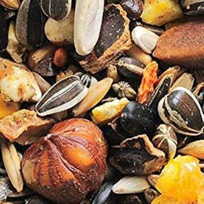 Squirrel Alfamix Feed for Squirrels Garvo Quality complete nutritious Food