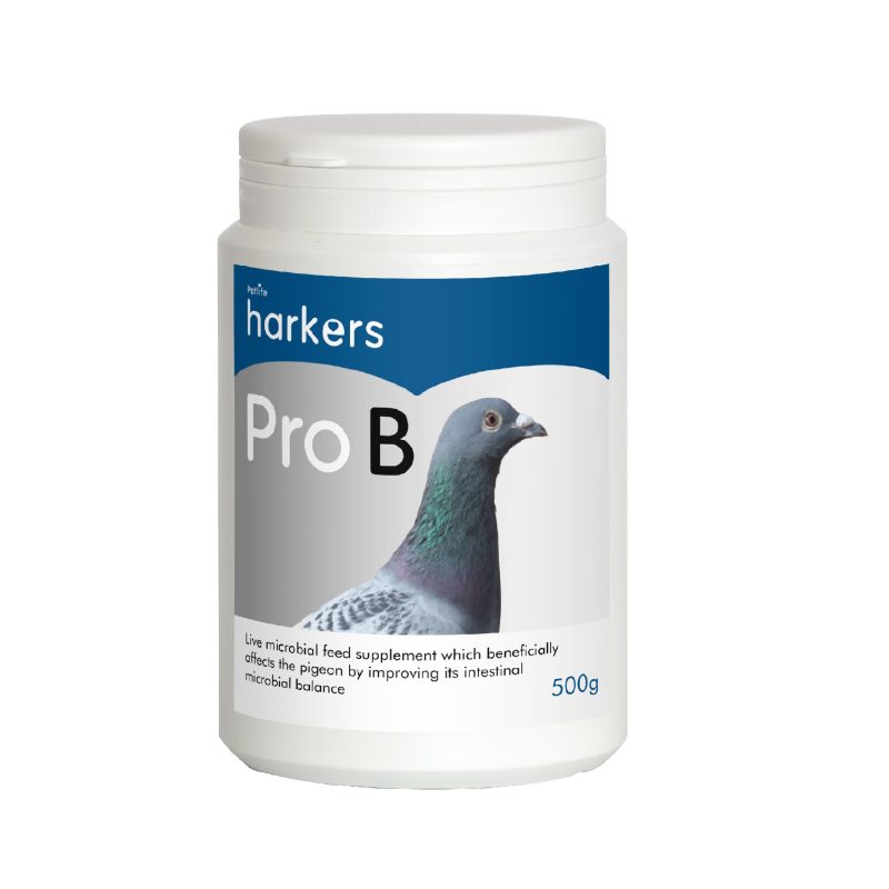 Harkers Pro B – Microbial Probiotic for Pigeons