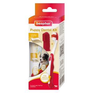 Beaphar Puppy Dental Kit (Brush & Paste)