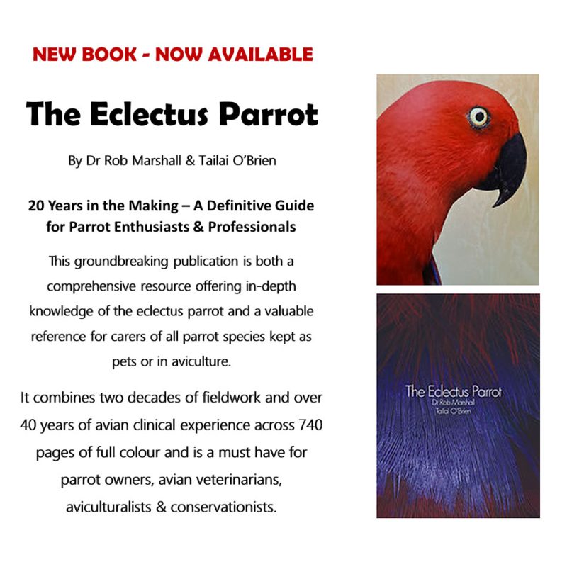 The Electus Parrot Book by Dr Rob Marshall - Amazing Large 700 page FULL COLOUR BOOK - LIMITED EDITION - Image 3